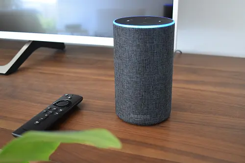Amazon Echo accanto a un telecomando di una Fire TV Stick

