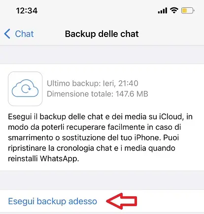 Opzione per eseguire il backup di WhatsApp su cloud su iPhone
